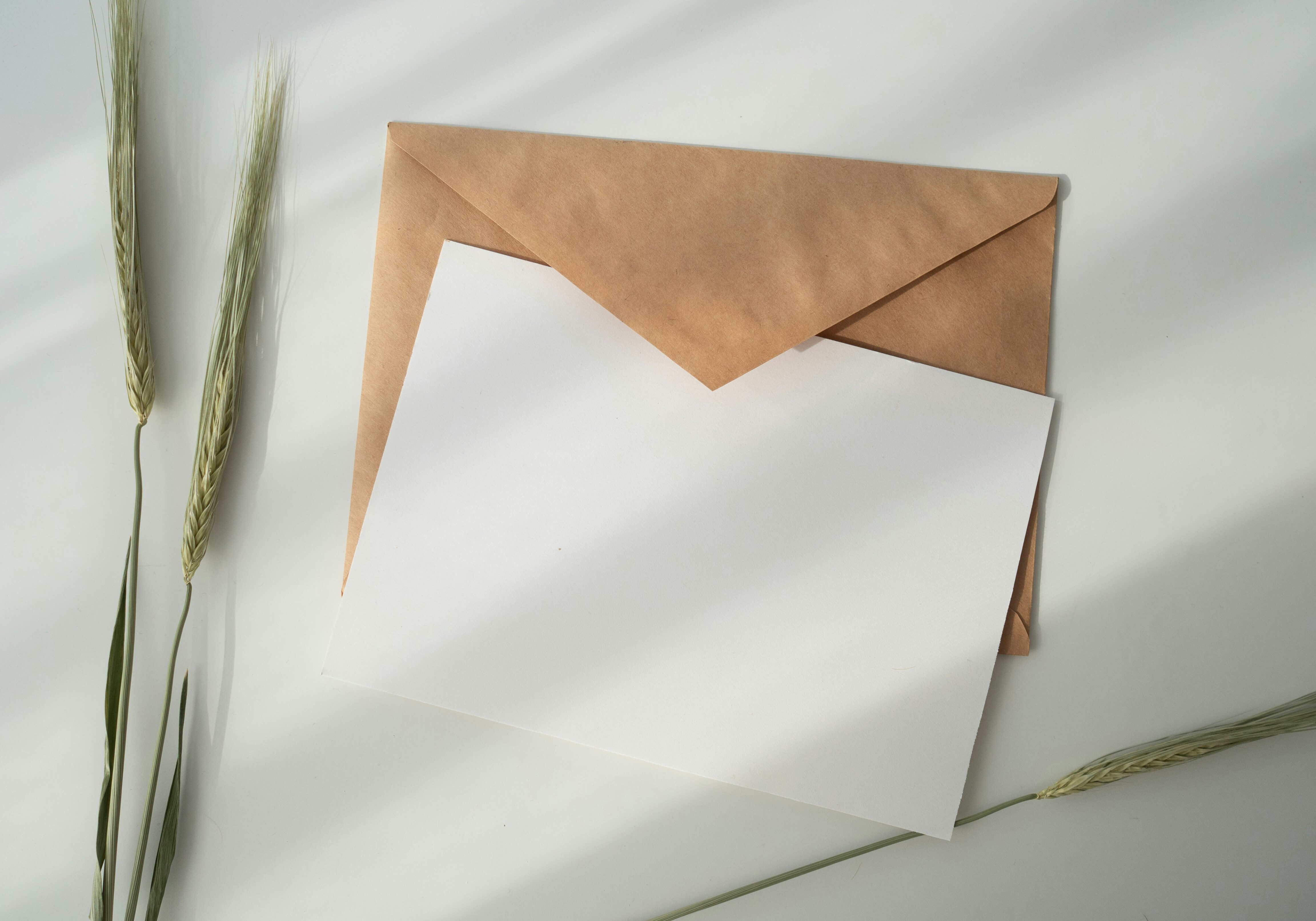 kate-macate-xmddEHyCisc-unsplash